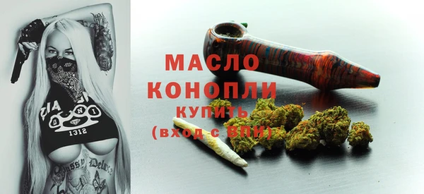 стаф Бородино