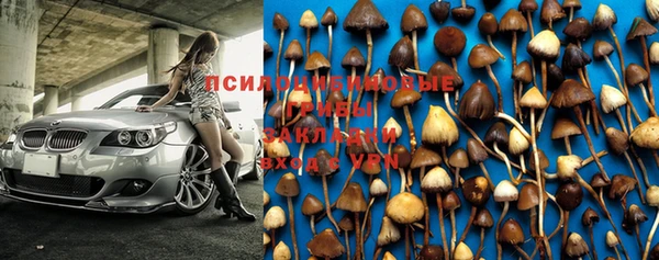 трава Богданович