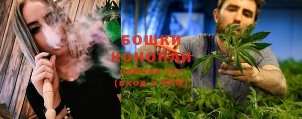 трава Богданович