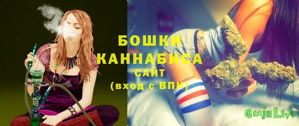 стаф Бородино