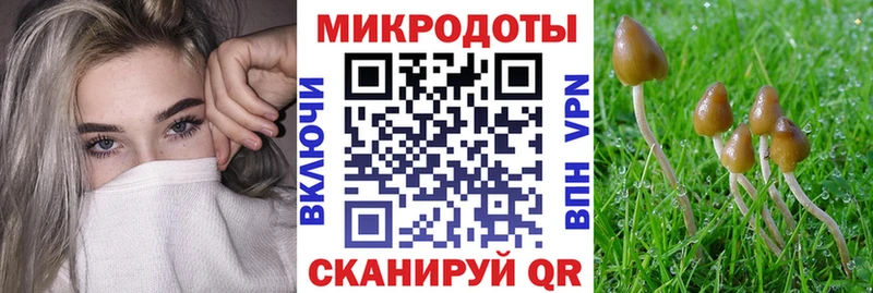 Псилоцибиновые грибы Cubensis  наркотики  Гремячинск 